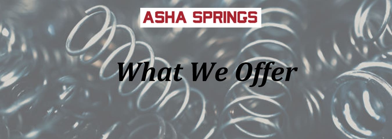 Asha Springs